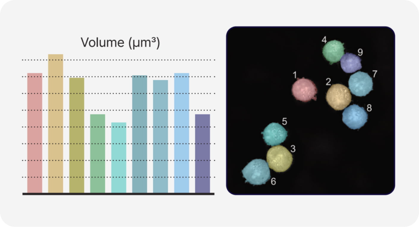 05. Single Cell Analysis.jpg