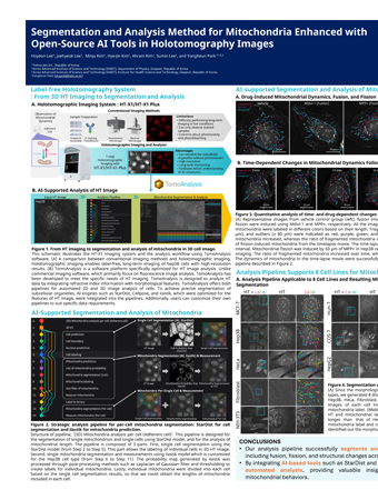 2025.01.12 Keystone Symposia_Mitochondria length analysis thumb nail.png