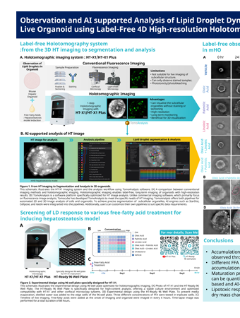 2024.12.12 Organoid LD_Hoyeon Lee thumb nail.png