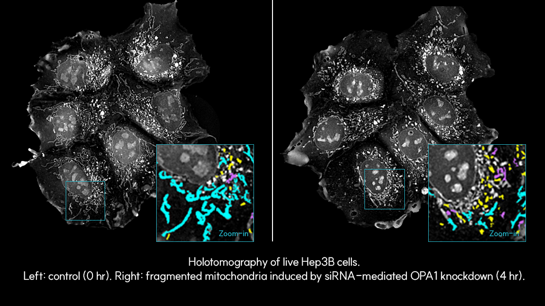 mini benefit 2-1.png
