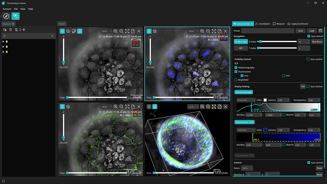 Visualization Built for Holotomography Data