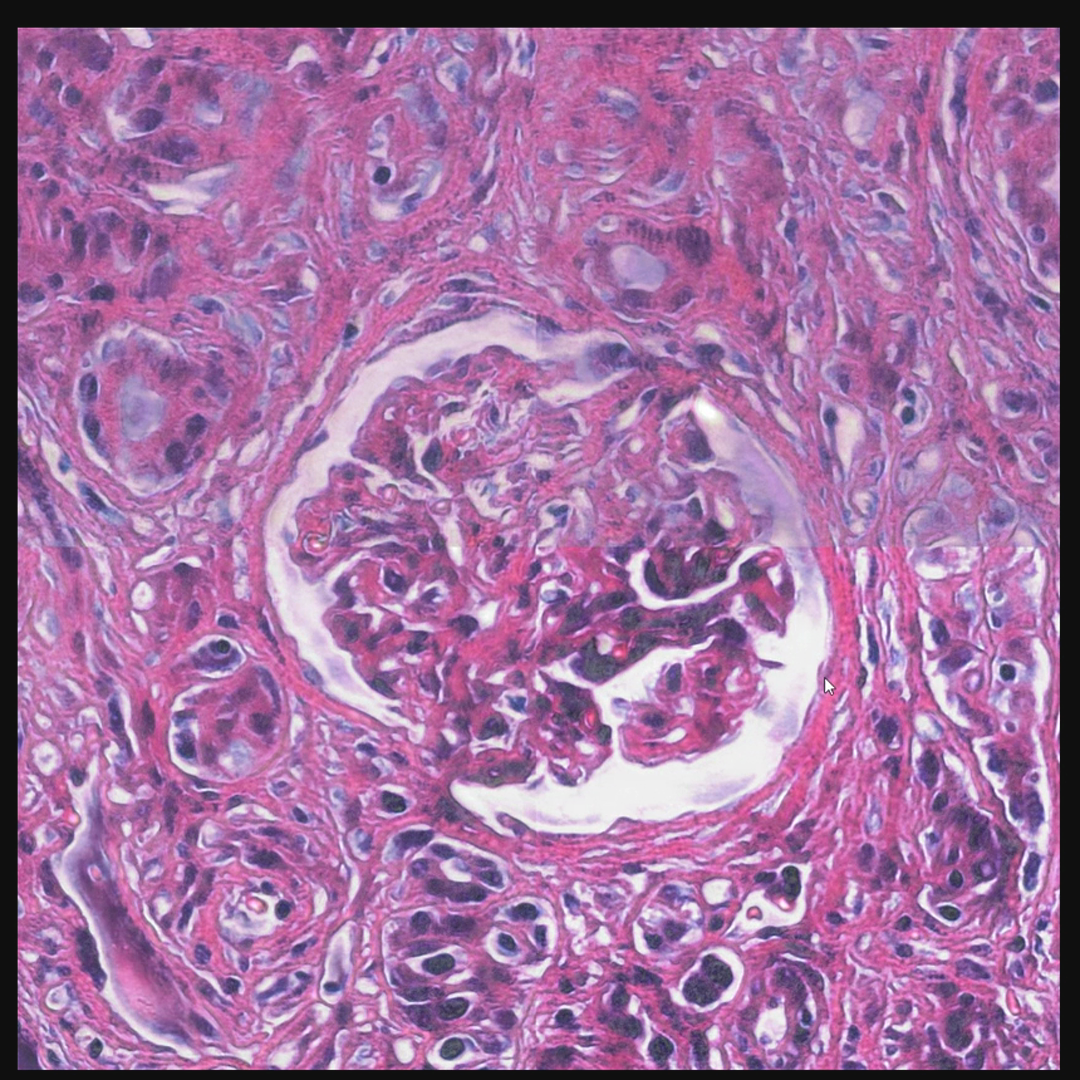 Cell biology